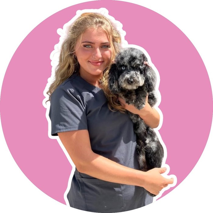Julia Begany, pet stylist, holding a freshly groomed grey poodle